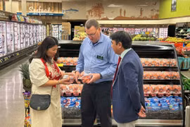 Début juillet, le litchi vietnamien a fait son entrée, pour la première fois, dans les rayons de Costco, la plus grande chaîne de supermarchés de détail aux États-Unis et au Canada. Photo : Tạp chí Công thương
