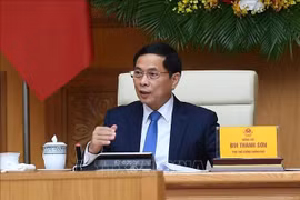 Le vice-Premier ministre et ministre des Affaires étrangères Bui Thanh Son, Photo : VNA