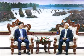 Trieu Tai Vinh (à gauche), vice-président de la Commission de sensibilisation, d’éducation et de mobilisation des masses du Comité central du Parti communiste du Vietnam (PCV), rencontre Khamphanh Pheuyavong, secrétaire du Comité central du Parti populaire révolutionnaire lao (PPRL) et président de la Commission de sensibilisation et d’entraînement du Comité central du PPRL. Photo : VNA