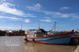 Des navires de pêche amarrés au port de pêche de Dinh An, commune de Dai An, province de Vinh Long. Photo: VNA 
