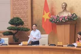 Le vice-Premier ministre et ministre des Affaires étrangères Bui Thanh Son prend la parole. Photo: VNA
