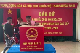 Des pêcheurs votent au bureau de vote de Da Le, dans la zone spéciale de Truong Sa, province de Khanh Hoa. Photo : VNA