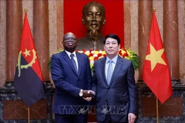 Le président Luong Cuong et l'ambassadeur d'Angola, Fernando Miguel, venu lui présenter ses lettres de créance, 24 avril 2025. Photo : VNA