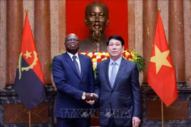 Le président Luong Cuong et l'ambassadeur d'Angola, Fernando Miguel, venu lui présenter ses lettres de créance, 24 avril 2025. Photo : VNA