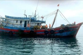 Cân Tho lance une campagne intensive contre la pêche INN. Photo : VNA
