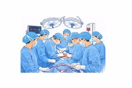 La transplantation d'organes au Vietnam à l'ère de la médecine de pointe