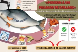 Pangasisus, «poisson à un milliard de dollars», un point brillant dans les exportations des produits aquatiques du Vietnam
