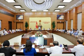 Lors de la 50e session du Comité permanent de l'Assemblée nationale en octobre 2025. Photo : VNA.