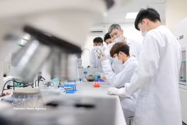 Des professeurs de l'Académie vietnamienne d'agriculture encadrent directement les étudiants dans l'apprentissage des techniques analytiques en laboratoire. Photo : VNA.
