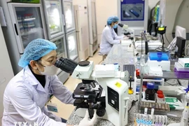 À l’horizon 2045, le corps intellectuel devra figurer parmi les meilleurs de la région et atteindre un niveau proche de celui des pays développés. Photo : VNA