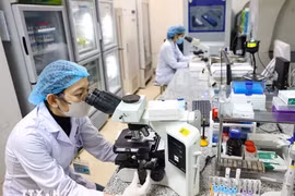 À l’horizon 2045, le corps intellectuel devra figurer parmi les meilleurs de la région et atteindre un niveau proche de celui des pays développés. Photo : VNA