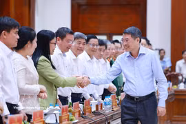 Le Premier ministre Le Minh Hung lors de la séance de travail à avec la permanence du Comité provincial du Parti à Dong Thap. Photo : VNA