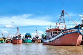 Bateaux de pêche ancrés au port de Ganh Hao (province de Ca Mau). Photo : VNA