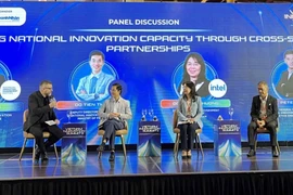 Des experts débattent lors du sommet. Photo : VNA