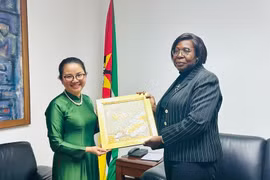 L'ambassadrice du Vietnam au Mozambique, Trân Thi Thu Thin (gauche) est allée saluer la Première ministre mozambicaine, Maria Benvinda Delfina Levi. Photo: VNA