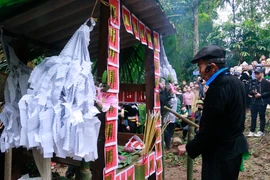 Le chaman réalise le culte de la forêt. Photo : VNA