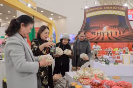 De nombreux produits aux designs variés, reflétant le caractère unique de la province de Quang Ngai, attirent un grand nombre de visiteurs à la Foire du Printemps 2026. Photo: VNA