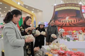 De nombreux produits aux designs variés, reflétant le caractère unique de la province de Quang Ngai, attirent un grand nombre de visiteurs à la Foire du Printemps 2026. Photo: VNA