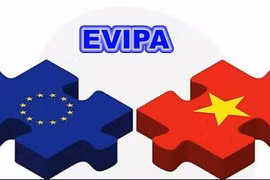  EVIPA : Berlin franchit une nouvelle étape vers la ratification