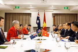 Panorama de la 8e réunion des ministres des Affaires étrangères Vietnam-Australie. Photo: VNA