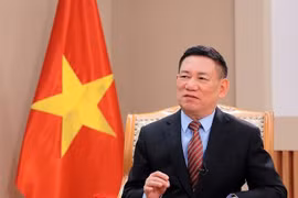 Le vice-Premier ministre Ho Duc Phoc. Photo: VNA