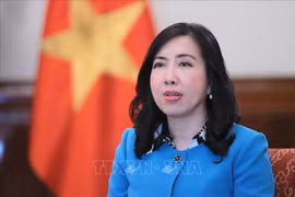 La vice-ministre des Affaires étrangères, Lê Thi Thu Hang. Photo: VNA