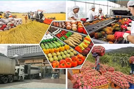 Le Vietnam a exporté pour 28,04 milliards de dollars de produits agricoles, sylvicoles et aquatiques au cours des cinq premiers mois de 2025. Photo : congthuong.vn