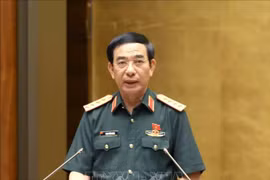 Le ministre de la Défense, Phan Van Giang. Photo : VNA