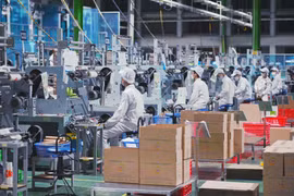 D’ici 2030, le Vietnam devrait compter 2 millions d’entreprises. Photo : VNA