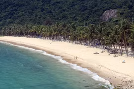 Les superbes plages de sable blanc de l'île de Cu Lao Cham (ville de Da Nang) attirent de nombreux touristes. Photo: VNA