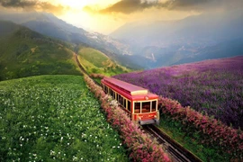 Le train de montagne de Muong Hoa enrichit l'expérience du tourisme vert des visiteurs une fois venus à Sa Pa. Photo : VNA