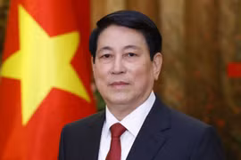 Le président Luong Cuong. Photo : VNA