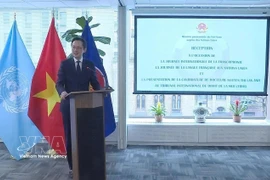 L'ambassadeur Do Hung Viet, chef de la Mission permanente du Vietnam auprès des Nations Unies. Photo: VNA