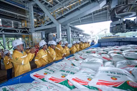Chargement d'engrais sur un navire destiné à l'exportation. Photo: Petrovietnam