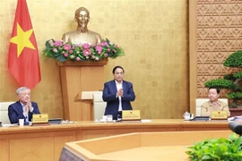 Le Preminier ministre s'exprime lors de la réunion. Photo : VNA