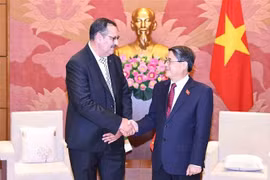 Le vice-président de l'Assemblée nationale (AN) du Vietnam Nguyen Duc Hai (à droite) et le président du groupe des parlementaires d'amitié Algérie-Vietnam Salah Djegloul. Photo : VNA