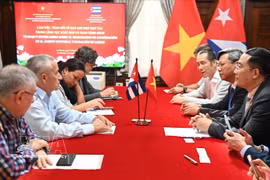 Panorama de la séance de travail. Photo: VNA