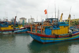 Des navires de pêche non conformes sont organisés pour un stationnement groupé. Photo: VNA