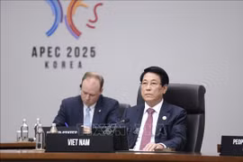 Le président vietnamien Luong Cuong. Photo: VNA