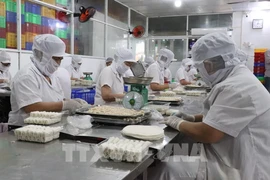 Production de rouleaux de printemps à l'entreprise alimentaire Kim Ngoc, quartier de Tan An, province de Tay Ninh. Photo : VNA.