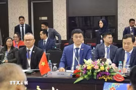 Une délégation de l'Assemblée nationale du Vietnam, conduite par son vice-président Vu Hong Thanh, a participé à la réunion préparatoire de l'Interface des dirigeants ASEAN-AIPA 2025 (Interface ASEAN-AIPA), qui s'est tenue le 25 mai à Kuala Lumpur, en Malaisie. Photo : VNA