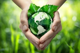 La consommation verte gagne le Vietnam. Photo: https://scp.gov.vn