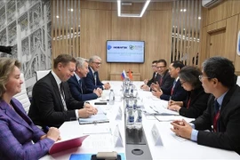 Le vice-Premier ministre Bùi Thanh Son s'entretient avec les dirigeants de Novatek. Photo : VNA