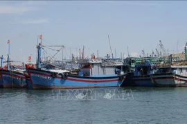 Des bateaux de pêche sont ancrés au port de pêche du quartier de Quy Nhon, province de Gia Lai. Photo: VNA