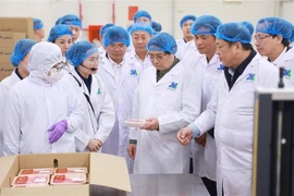 Le Premier ministre Pham Minh Chinh visite l'usine de transformation de bœuf de Tam Dao. Photo : VNA