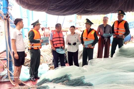 La gestion de la flotte est rigoureusement appliquée à Hai Phong : 100 % des navires sont immatriculés, titulaires d’une licence de pêche, et leurs données sont mises à jour dans la base de données nationale des pêches (Vnfishbase). Photo : VNA