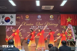 A Siheung, en République de Corée, l'Association vietnamienne locale a organisé une fête du printemps pleine de dynamisme pour accueillir le Nouvel An 2025. Photo : VNA