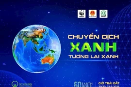 Le Vietnam économise 448 000 kWh durant l'Heure de la Terre 2025 