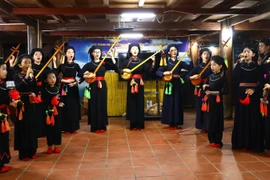 Interprétation du « dan tinh » et du chant « then » pour les touristes au homestay Tai Ngao, hameau Na Tong, commune de Thuong Lam, province de Tuyen Quang. Photo : VNA