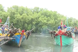 La province de Dông Thap démontre une forte détermination dans la lutte contre la pêche illicite, non déclarée et non réglementée (INN). Photo : VNA